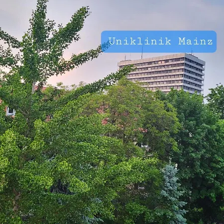 Privat bolig Im Schlesischen Viertel - Nahe Uniklinik Mainz